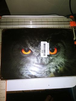 Owl Licences Plate.
