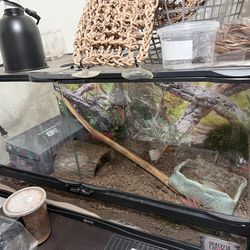 Reptile zoomed 60 gallon tank for sale