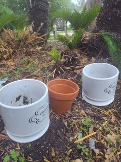 Plant pots lot only 10$ macetero DE BARRO