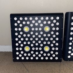 Aglex Cob Grow Lights