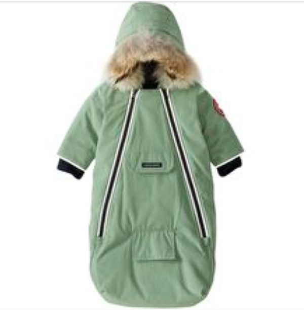 Canada Goose Baby Snow Bunting Popular Canada Goose Baby Snow Bunting Popular