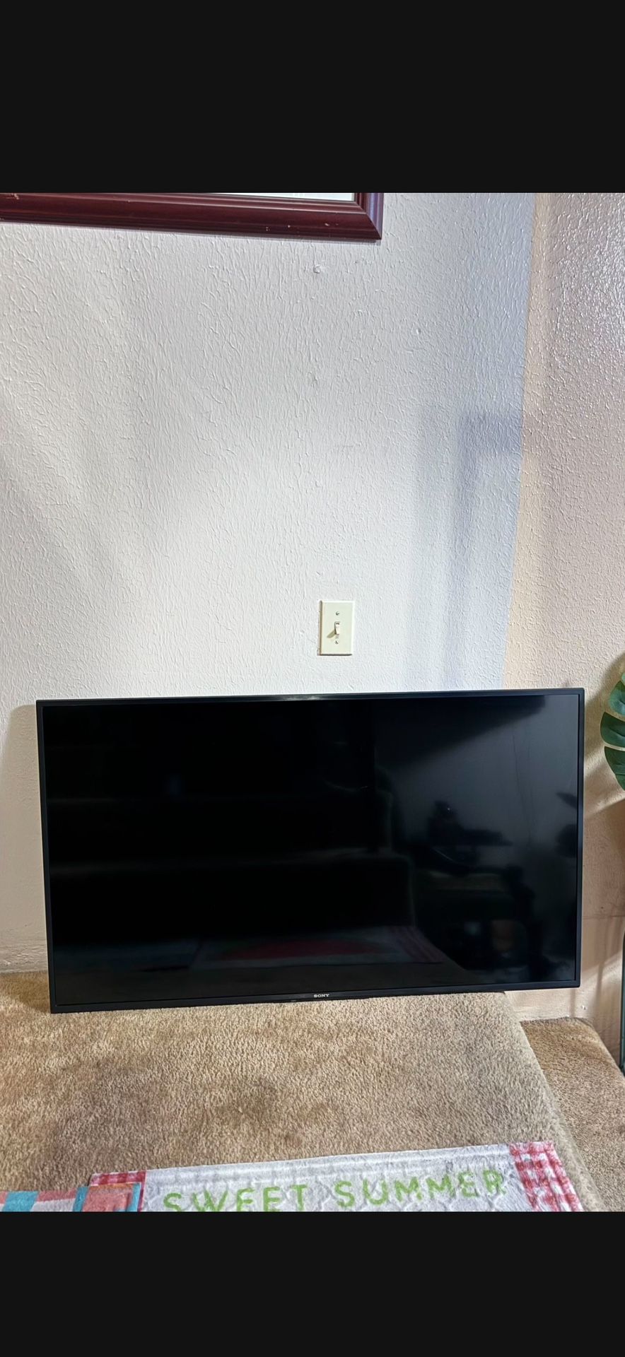 Sony 42’ TV