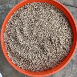 Saltwater Fish Tank Sand