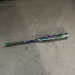 Bat