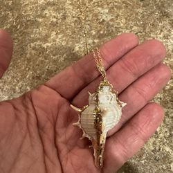 Brand New Golden Shell Necklace Shipping Avaialbe 