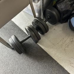 20 Pound Dumbbells 