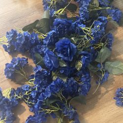 Several Bundles Of Royal Blue Flowers