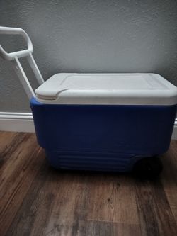 Igloo 36 qt cooler