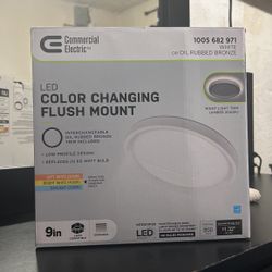 Color Changing Flush Mount