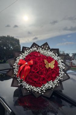 24 Rose