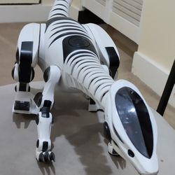 Dinosaur Toy for Kids 