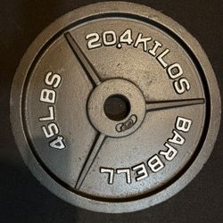 45lbs Plate (Pair)