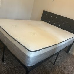 Queen Bed, Head Board And Frame