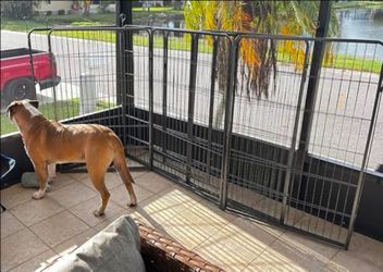 Dog Outdoor Fencing Pen Cage