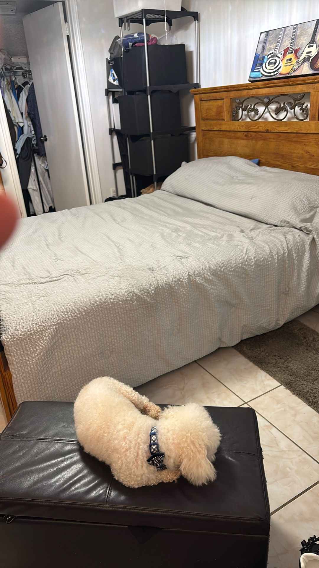 Bed Frame Queen Size