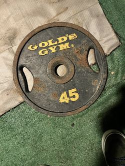 45lb Weight Plate (Gold’s Gym)