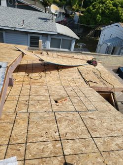 Shingle 