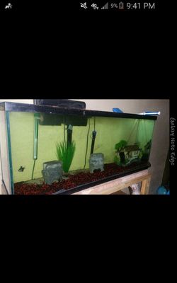 FISHTANK 55 GALLONS