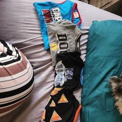 FREE S/M Boy Dog Clothes And Small Dog Crate W/Crate Pad FREE