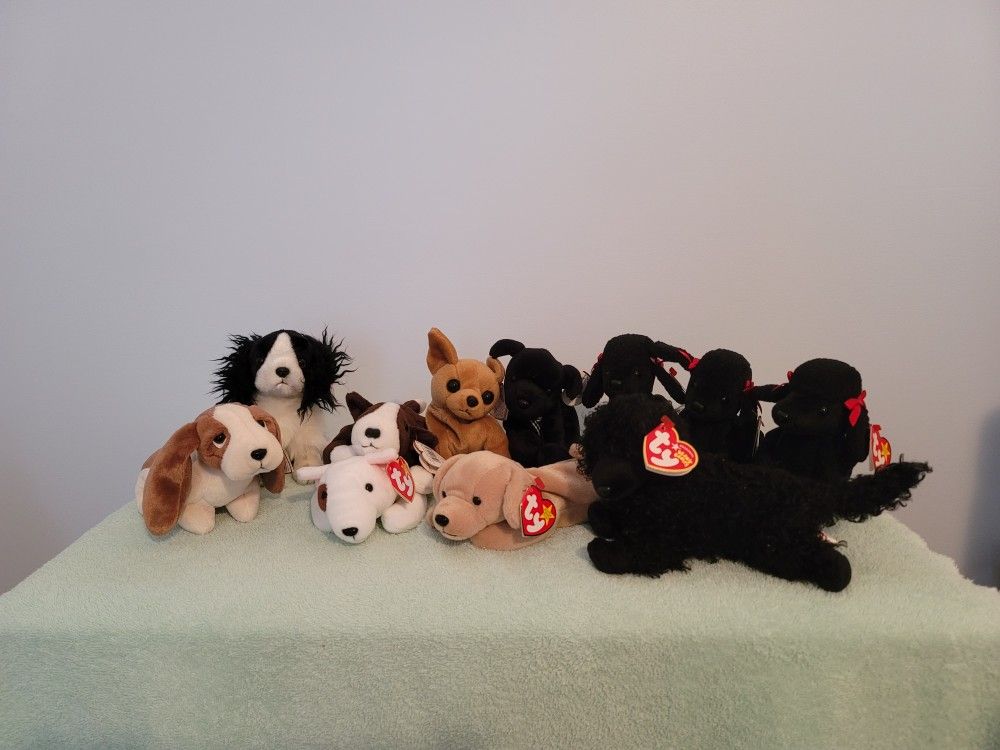 Beanie Babies Collectibles - Dogs