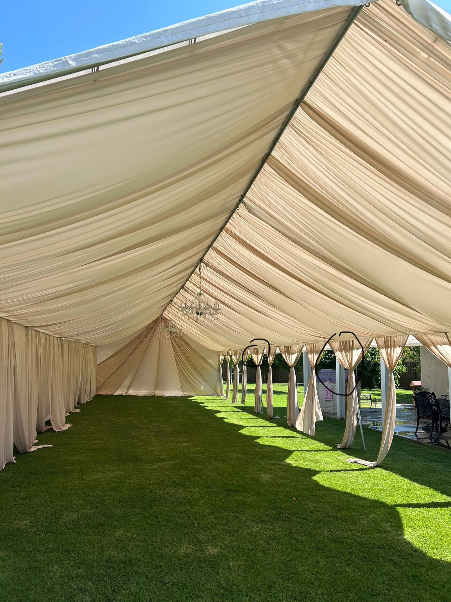 20x60 Canopy With Draping