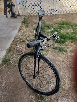 Fixie bike