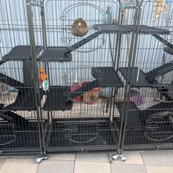 Animal Cage