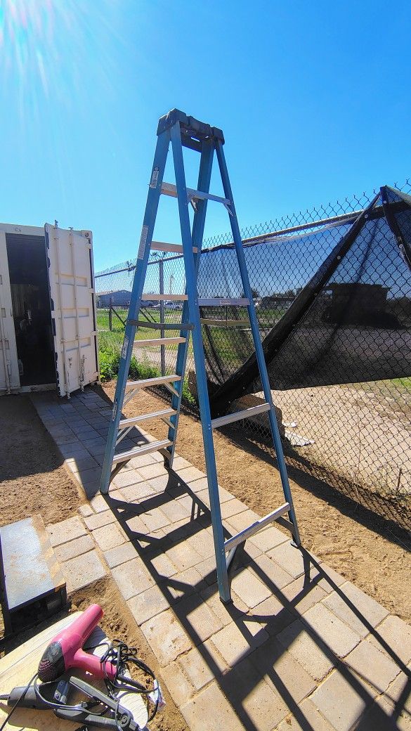 Werner 8ft Ladder