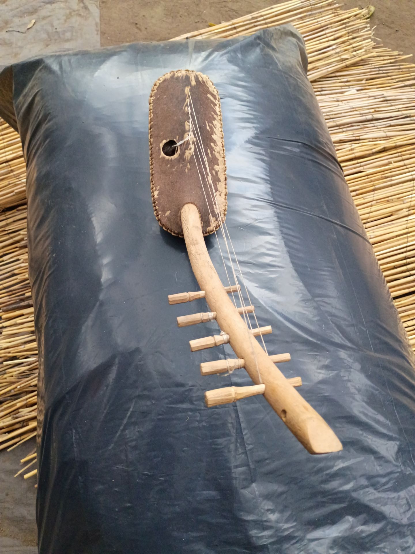 African guitar