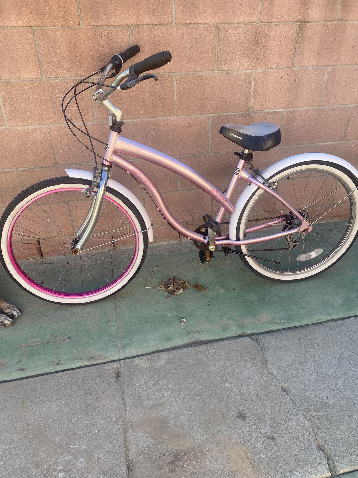 Beach Cruiser 26inch