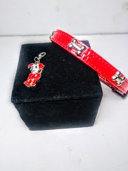 Dog Collar and Charm
