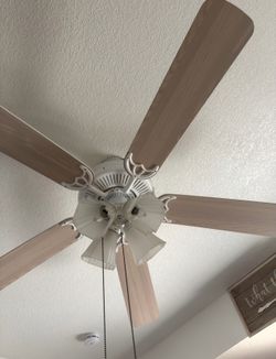 Ceiling fan