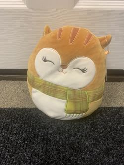 Squishmallow Erin The Squirrel