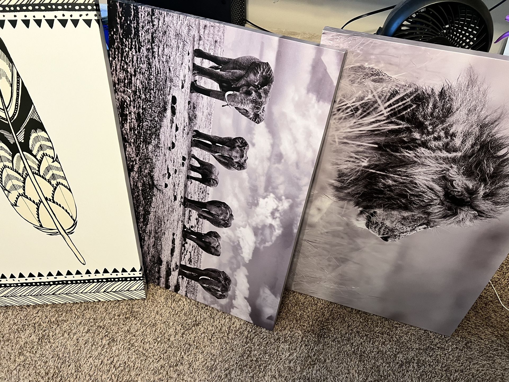 Canvas $20 Each Or All 3 For $50