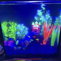 Glo fish tank decor
