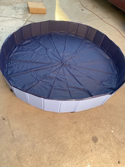 Dog pool