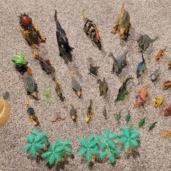 Giant lot of Dinosaurs 