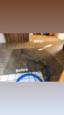 Carpet Cleaner