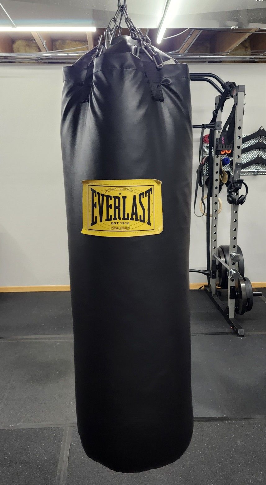Everlast Punching Bag