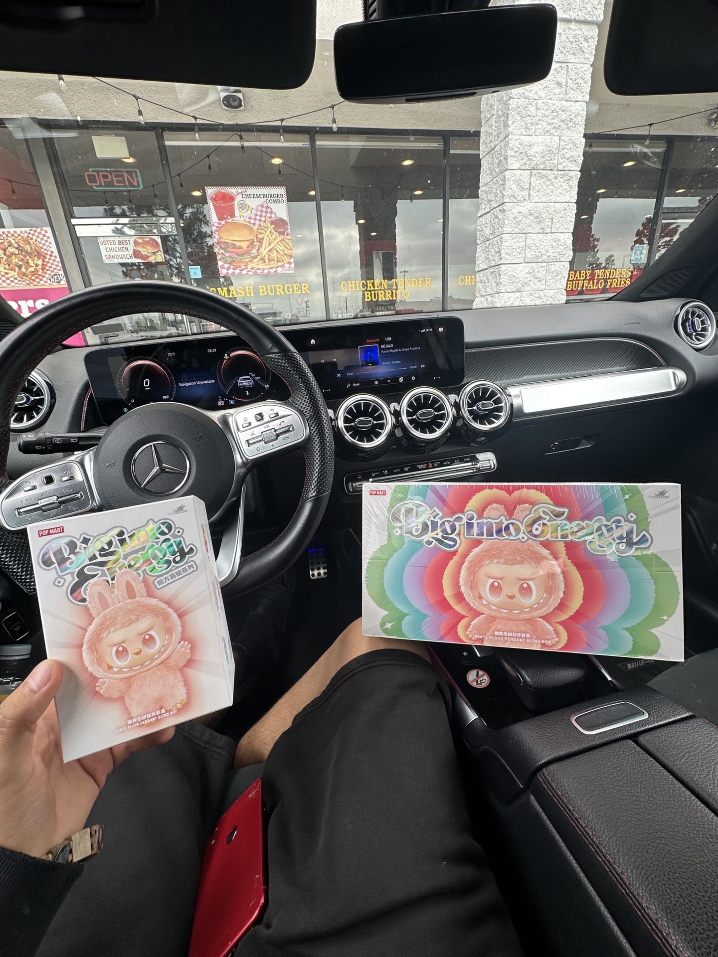 Labubu 100% Authentic