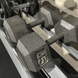 45lb Dumbbells 