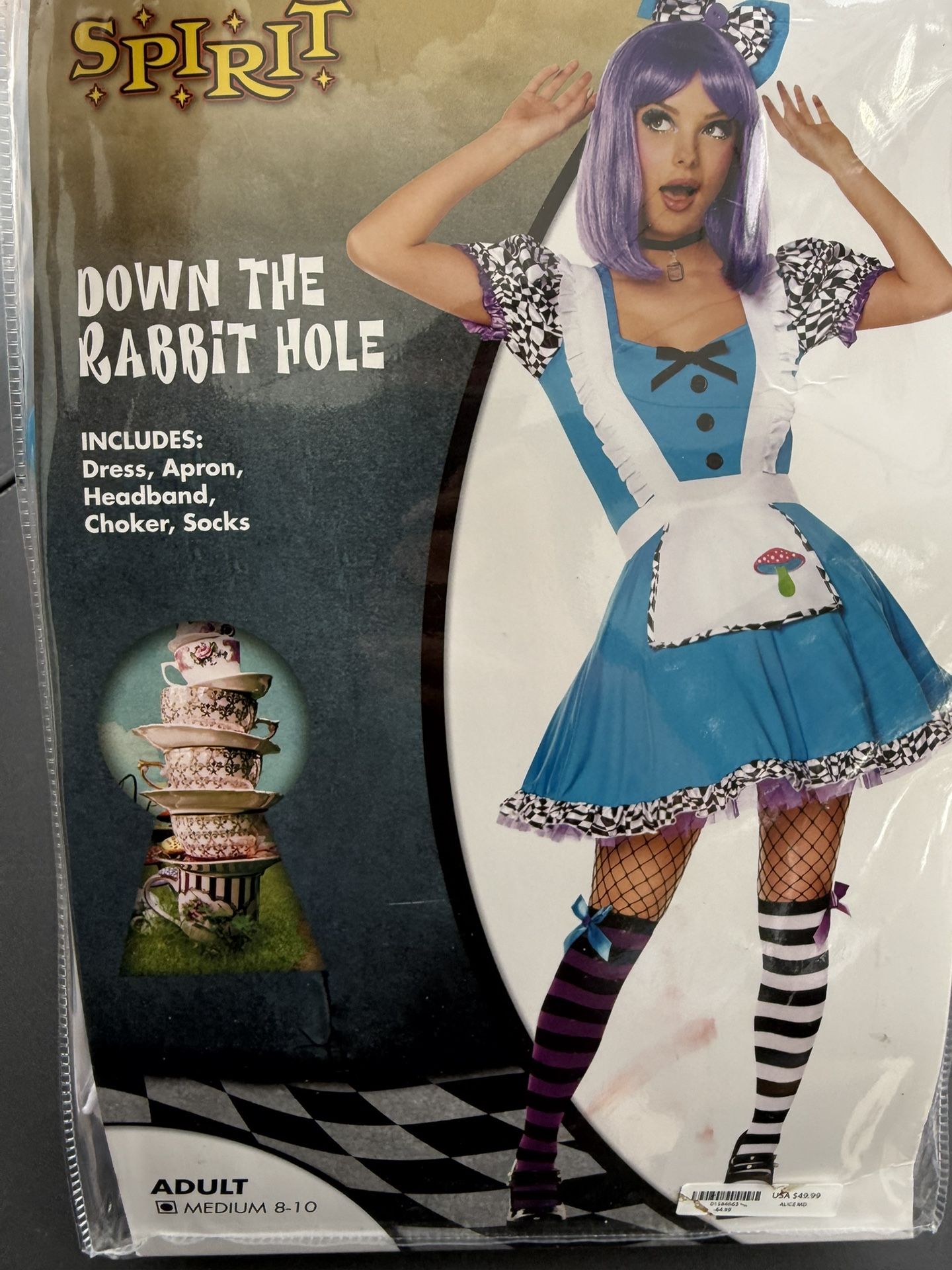 Down The Rabbit Hole Costume 