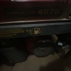 Predator 