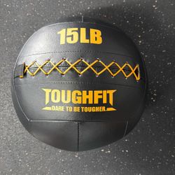 15 Lb Wall Ball