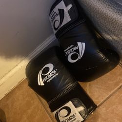 Boxing Gloves