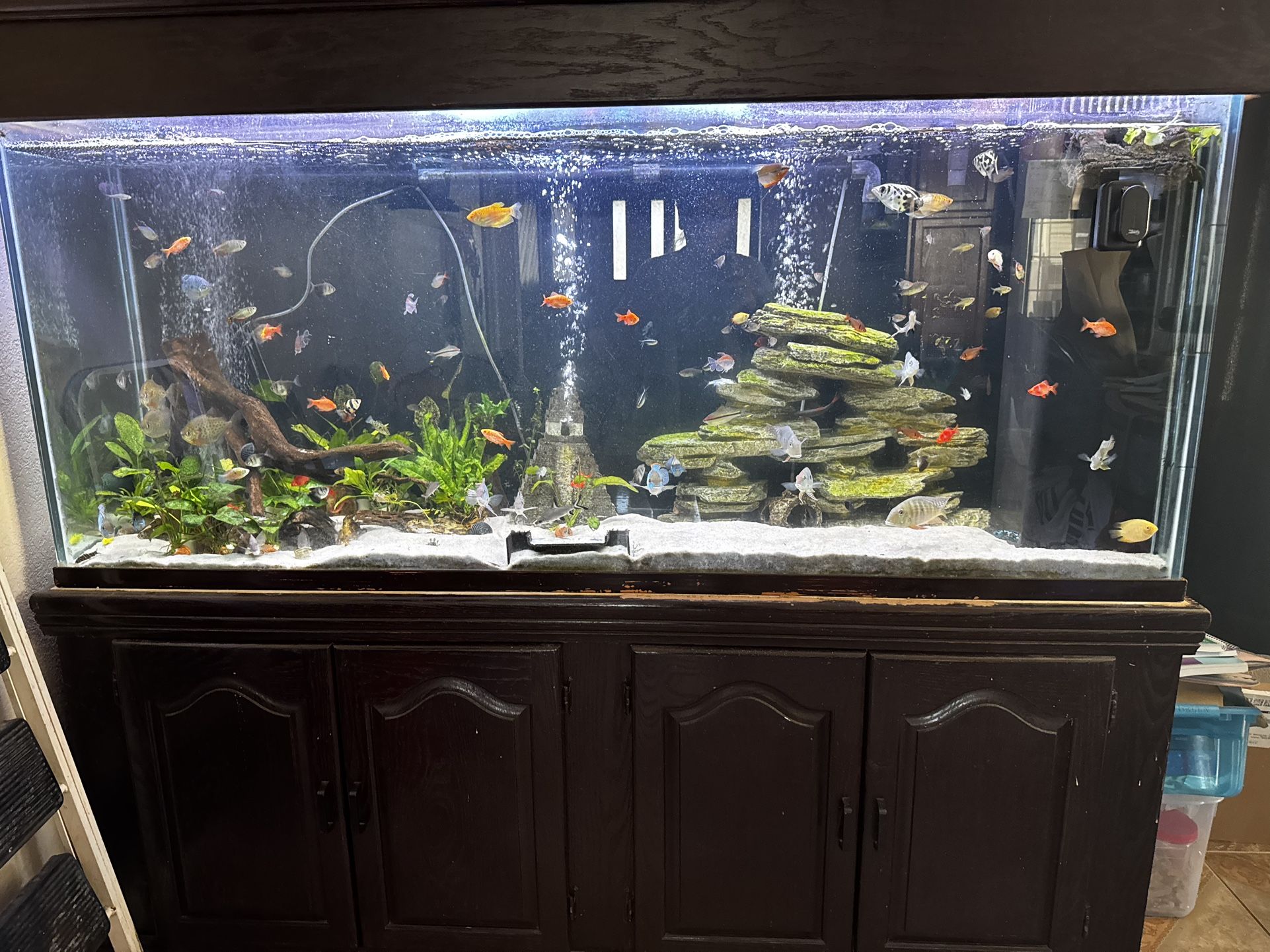180 Gallon Fish Tank