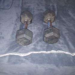 Starter Weights. 2 10 Pound Weights. Asking For $20 For Both. 