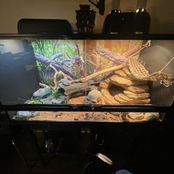 Reptile Tank With Accessories 