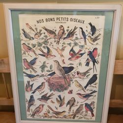 Vintage Bird Poster..Framed