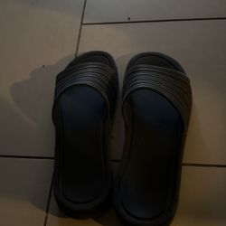 Slides/slipets